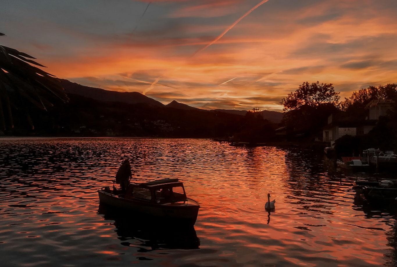 angeln am seehaus schirg